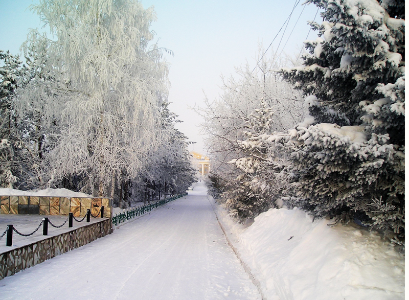 Бородино зимой