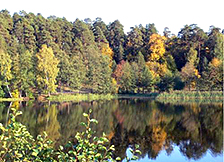 Озеро Вячкишево