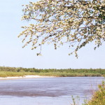 Вид на реку Суру